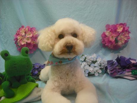 ファイル 3981-1.jpg