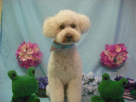 ファイル 3981-2.jpg