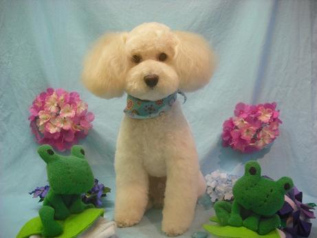 ファイル 3982-2.jpg