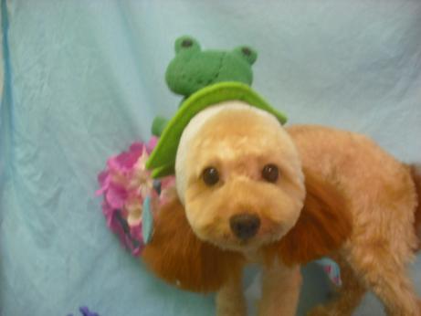 ファイル 3983-2.jpg