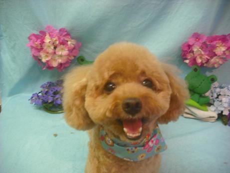 ファイル 3984-2.jpg