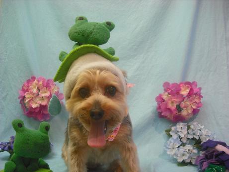 ファイル 3985-1.jpg