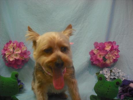 ファイル 3985-2.jpg