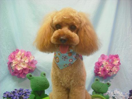 ファイル 3986-1.jpg