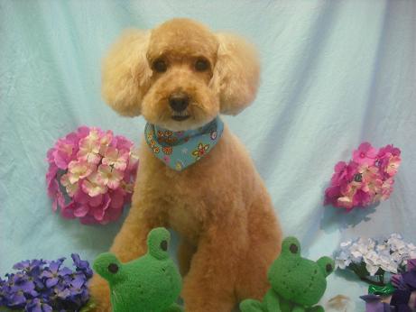 ファイル 3988-2.jpg