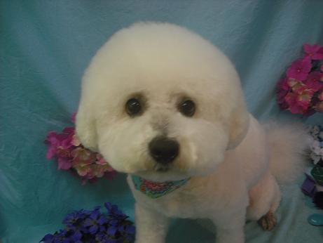 ファイル 3989-1.jpg