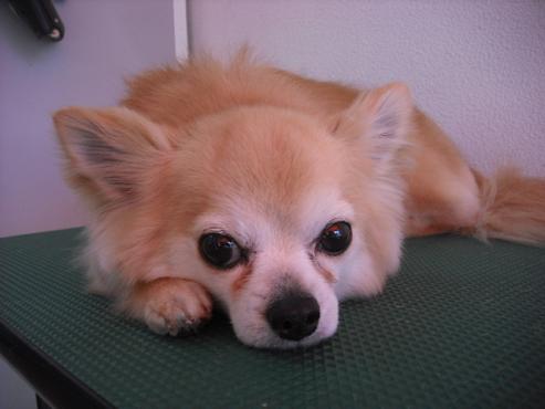 ファイル 399-1.jpg