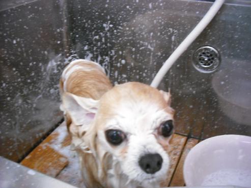 ファイル 399-2.jpg