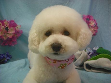 ファイル 3990-2.jpg