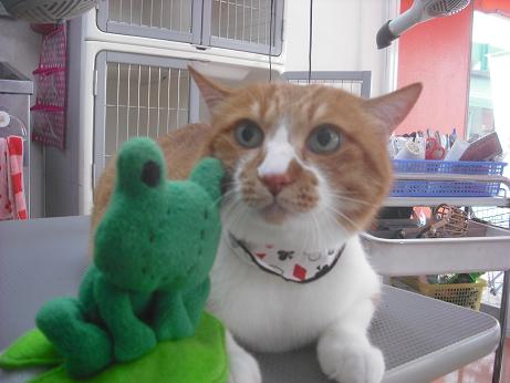 ファイル 3991-1.jpg