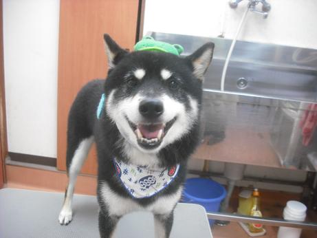 ファイル 3992-1.jpg