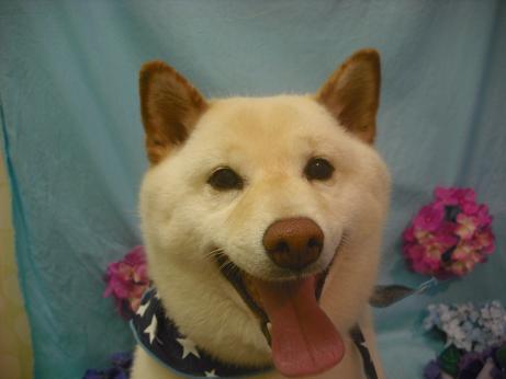 ファイル 3993-1.jpg