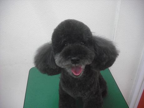 ファイル 3994-2.jpg