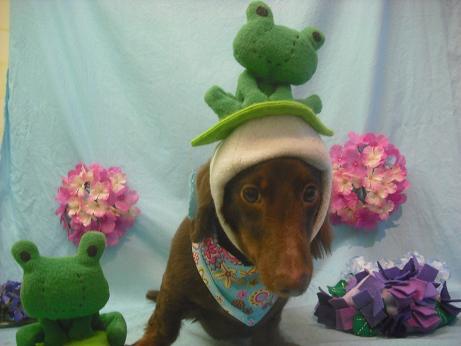 ファイル 3995-1.jpg