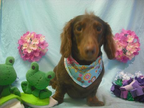 ファイル 3995-2.jpg