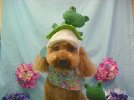 ファイル 3996-1.jpg