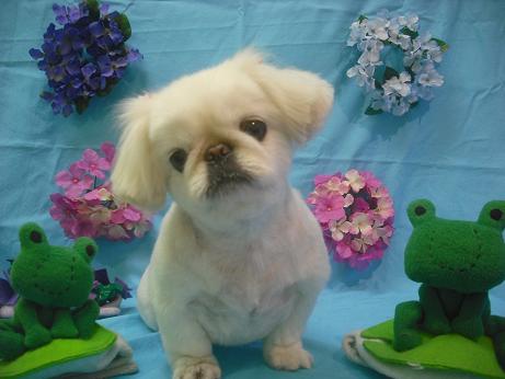 ファイル 3998-2.jpg