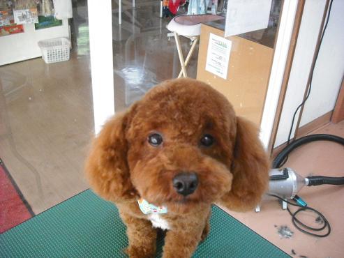 ファイル 4-1.jpg