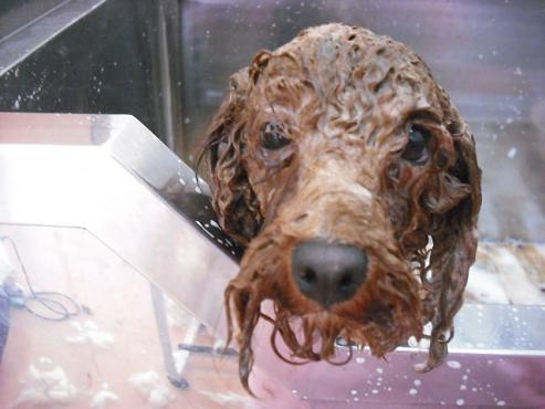 ファイル 4-2.jpg