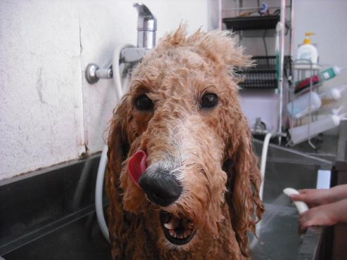 ファイル 40-2.jpg