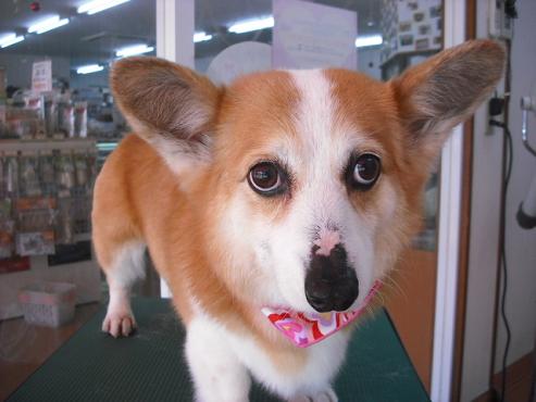 ファイル 400-1.jpg