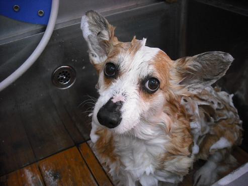 ファイル 400-3.jpg