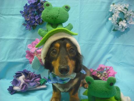 ファイル 4000-1.jpg