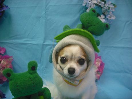 ファイル 4001-1.jpg