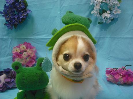 ファイル 4002-1.jpg