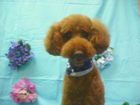 ファイル 4003-1.jpg