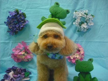 ファイル 4004-1.jpg