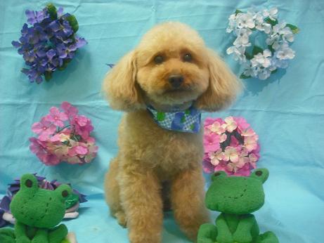 ファイル 4004-2.jpg