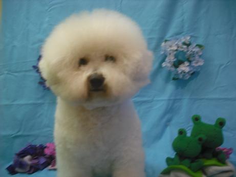 ファイル 4005-1.jpg