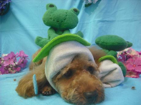 ファイル 4006-2.jpg