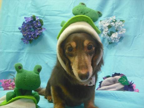 ファイル 4007-1.jpg