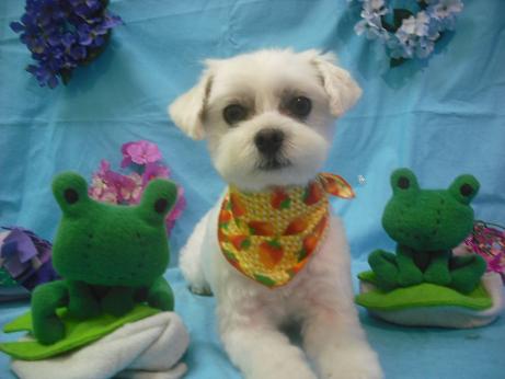 ファイル 4008-2.jpg