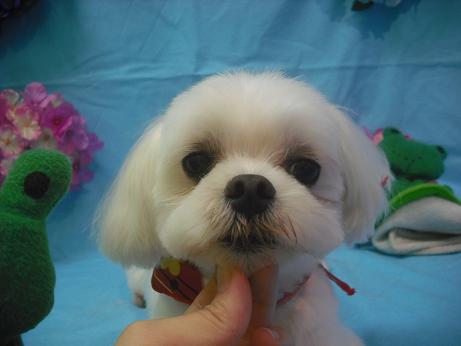 ファイル 4009-2.jpg