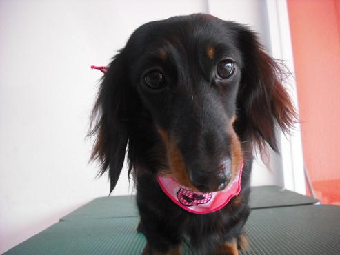 ファイル 401-1.jpg