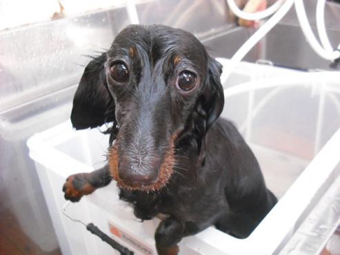 ファイル 401-3.jpg