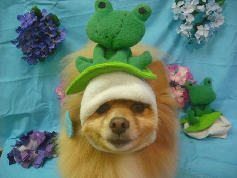 ファイル 4010-1.jpg