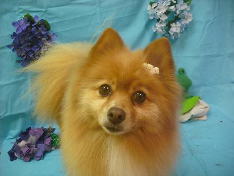 ファイル 4010-2.jpg