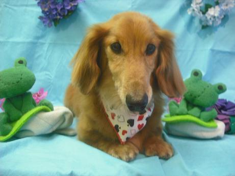 ファイル 4011-2.jpg