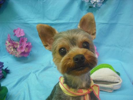 ファイル 4012-2.jpg