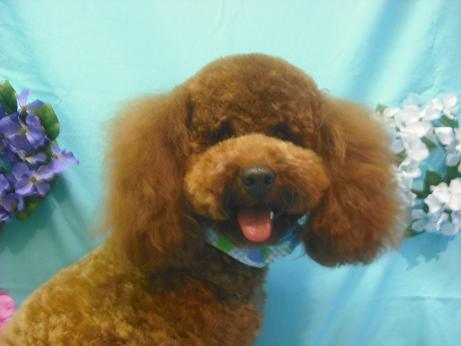 ファイル 4013-1.jpg