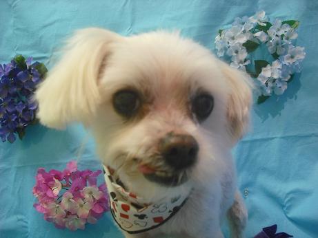 ファイル 4014-1.jpg