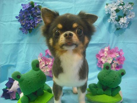 ファイル 4015-2.jpg