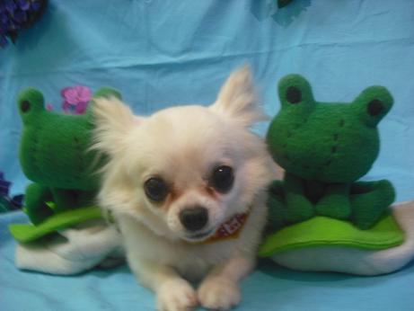 ファイル 4016-2.jpg