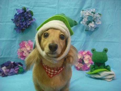 ファイル 4017-1.jpg