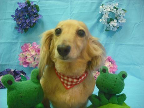 ファイル 4017-2.jpg