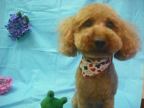 ファイル 4018-2.jpg